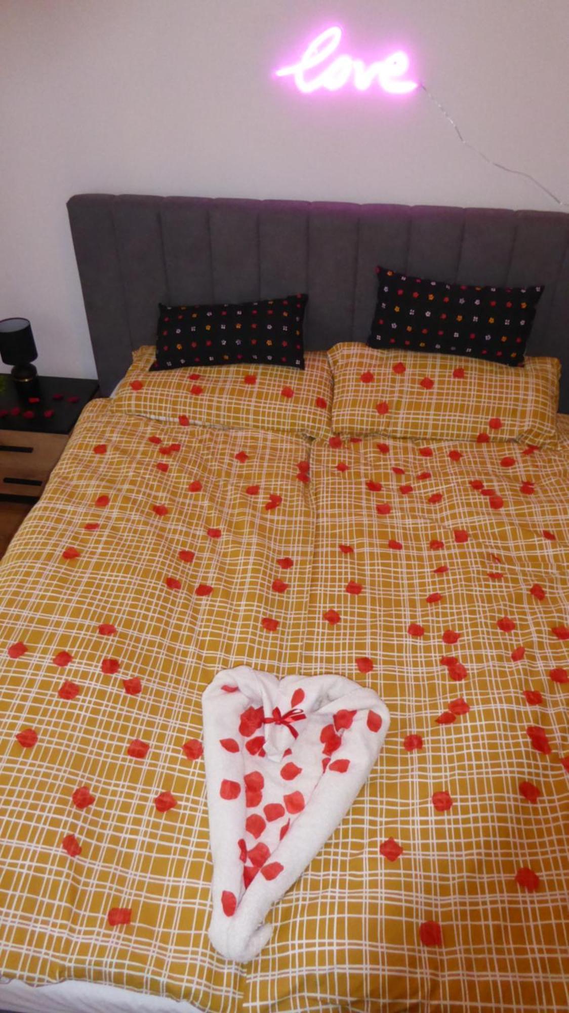 Apartament Love On 5 - Milosc Na 5 Legnica Eksteriør billede